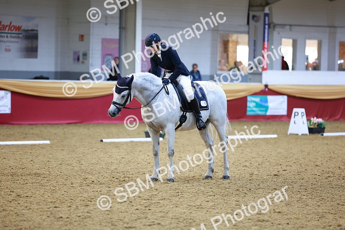 SBM_06532 - Class 61 - Dressage to Music