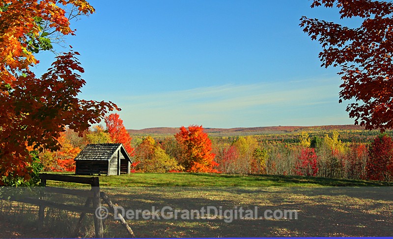 Autumn Vista New Brunswick Fall Foliage Canada - Autumn Foliage