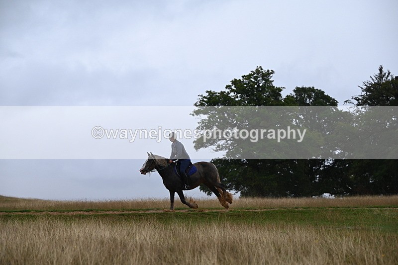 DSC_3291 - Time at Statue 12:59 to 13:49
