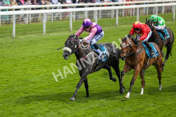 170523-Race 3-Azure Blue-6909 - Race 3 3.00pm 1895 Duke of York Clipper Logistics Stakes