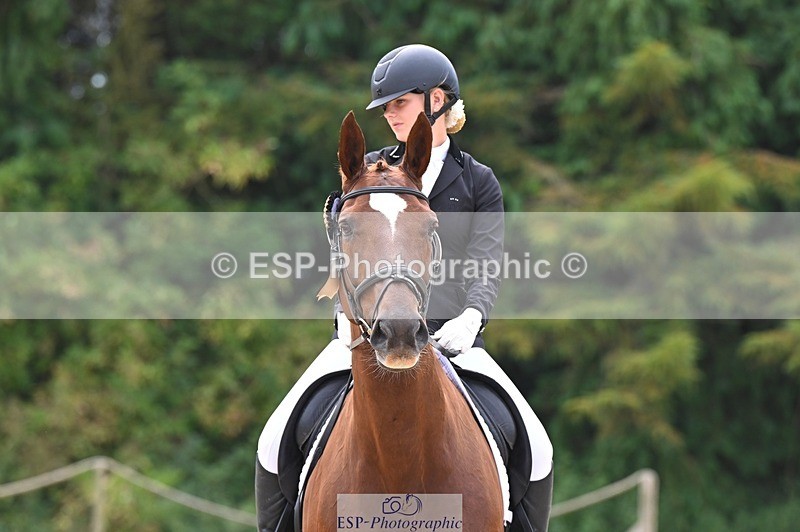 240809-131633-01036 - Preliminary Silver