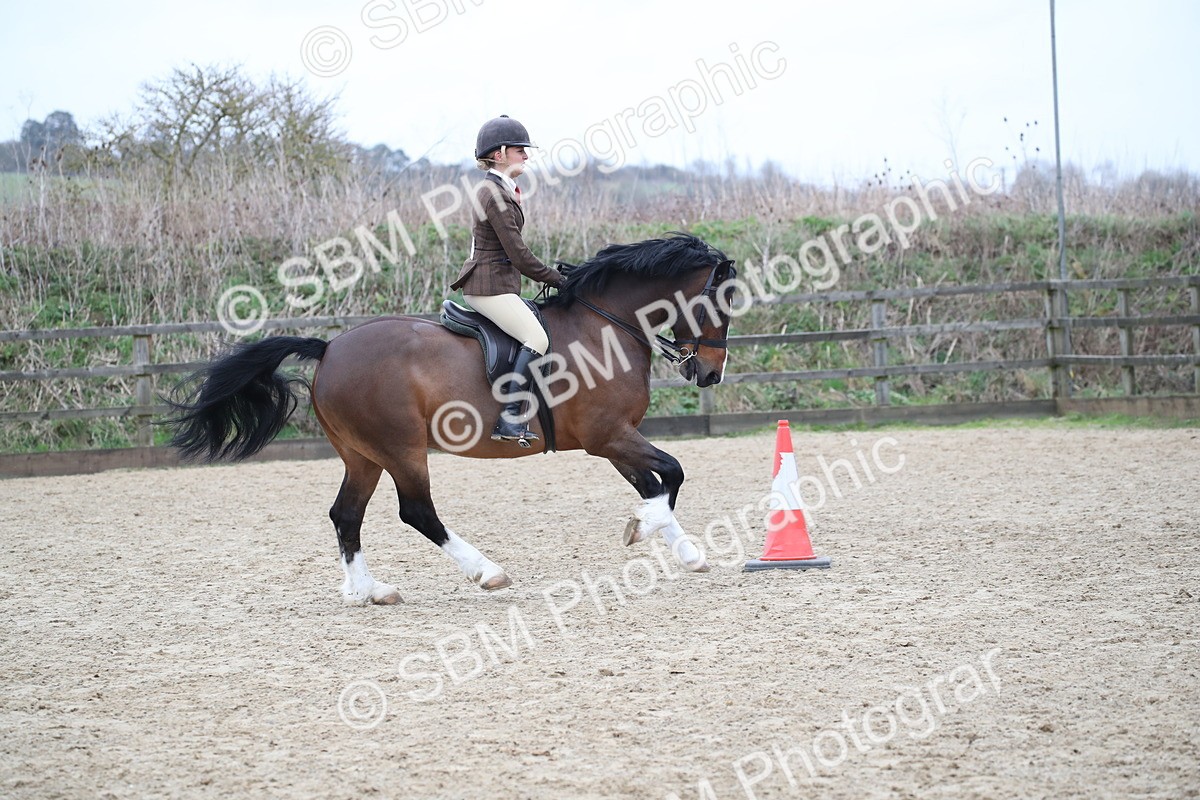 SBM_007075 - Class 10-13 - RIHS Small Large Breeds
