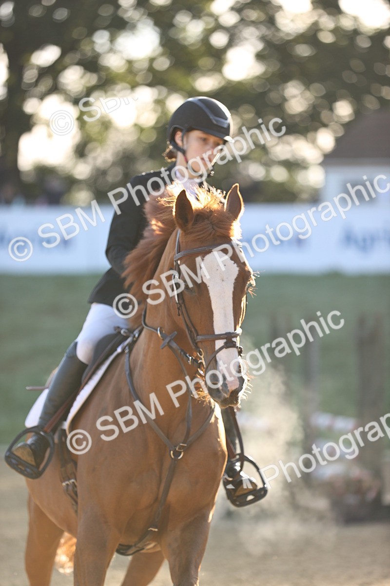 SBM_33145 - J38 - Senior 80cm Championship