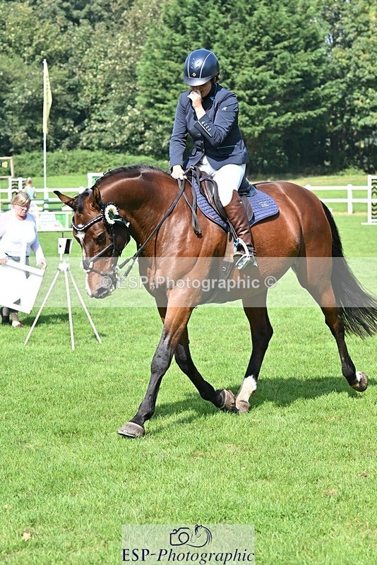 230910-134050-12380 - Cls 26 Snr 1.05m Grand Prix