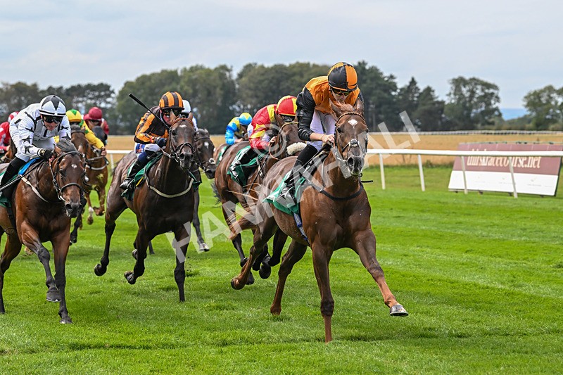 060925-Race 2-Dazzling Haze-4661 - Race 2