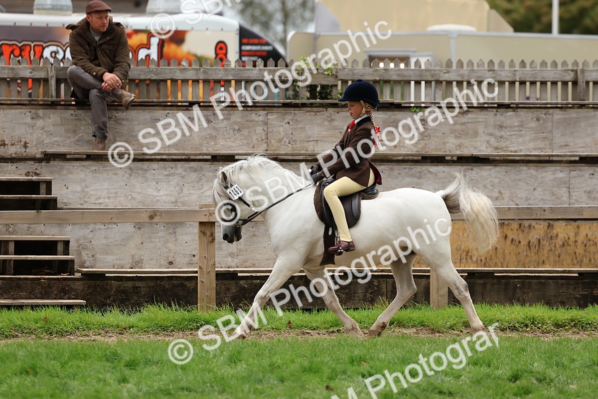 SBM_67455 - S61 - Mountain & Moorland Ridden