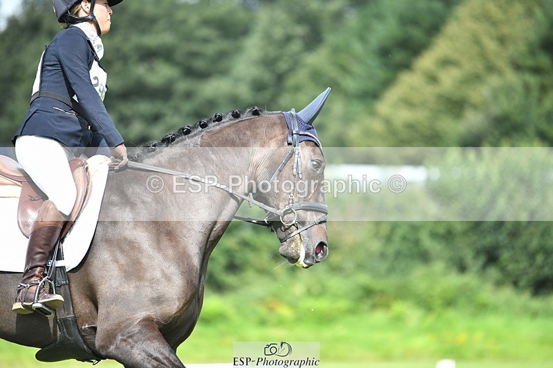 230826-110206-15704 - Sections C & D 10 to End