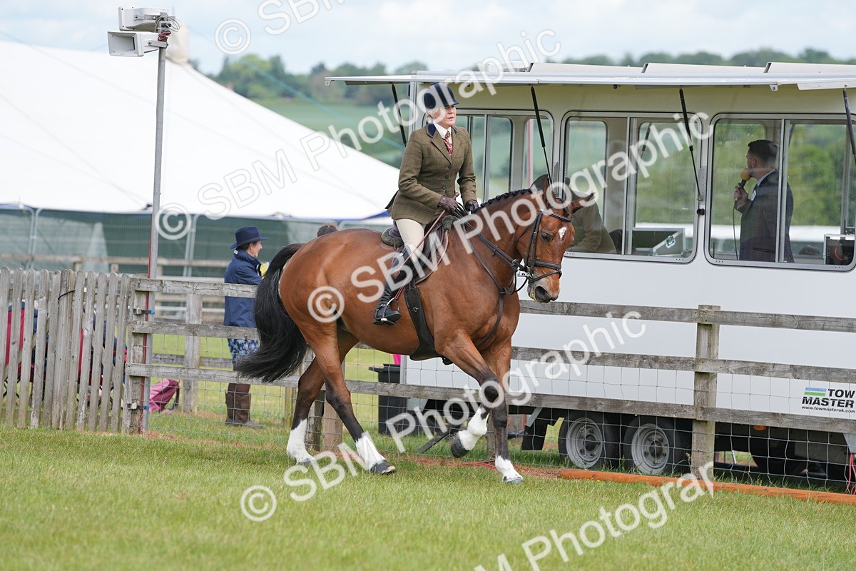 SBM_15006 - Class 100-102 - RIHS Working Hunter