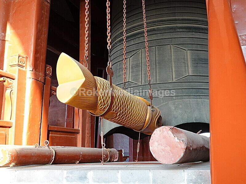 CHINA__1206 - China 2019