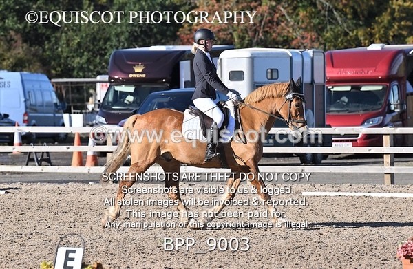 BPP_9003 - SHORT ARENA