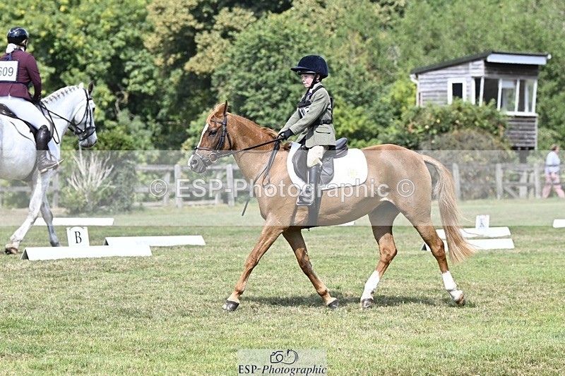 250822A-121210-22619 - DR 11.00 to 12.00