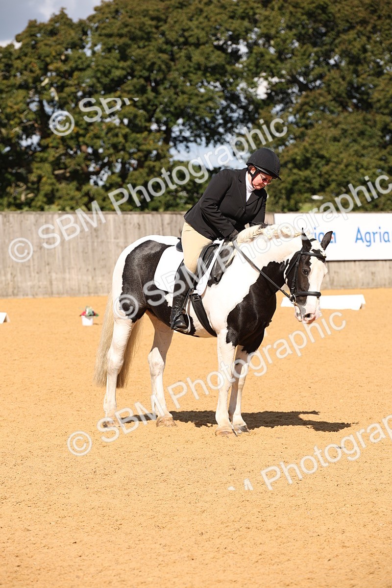 SBM_04337 - D2 Small Tour Championship Intro C