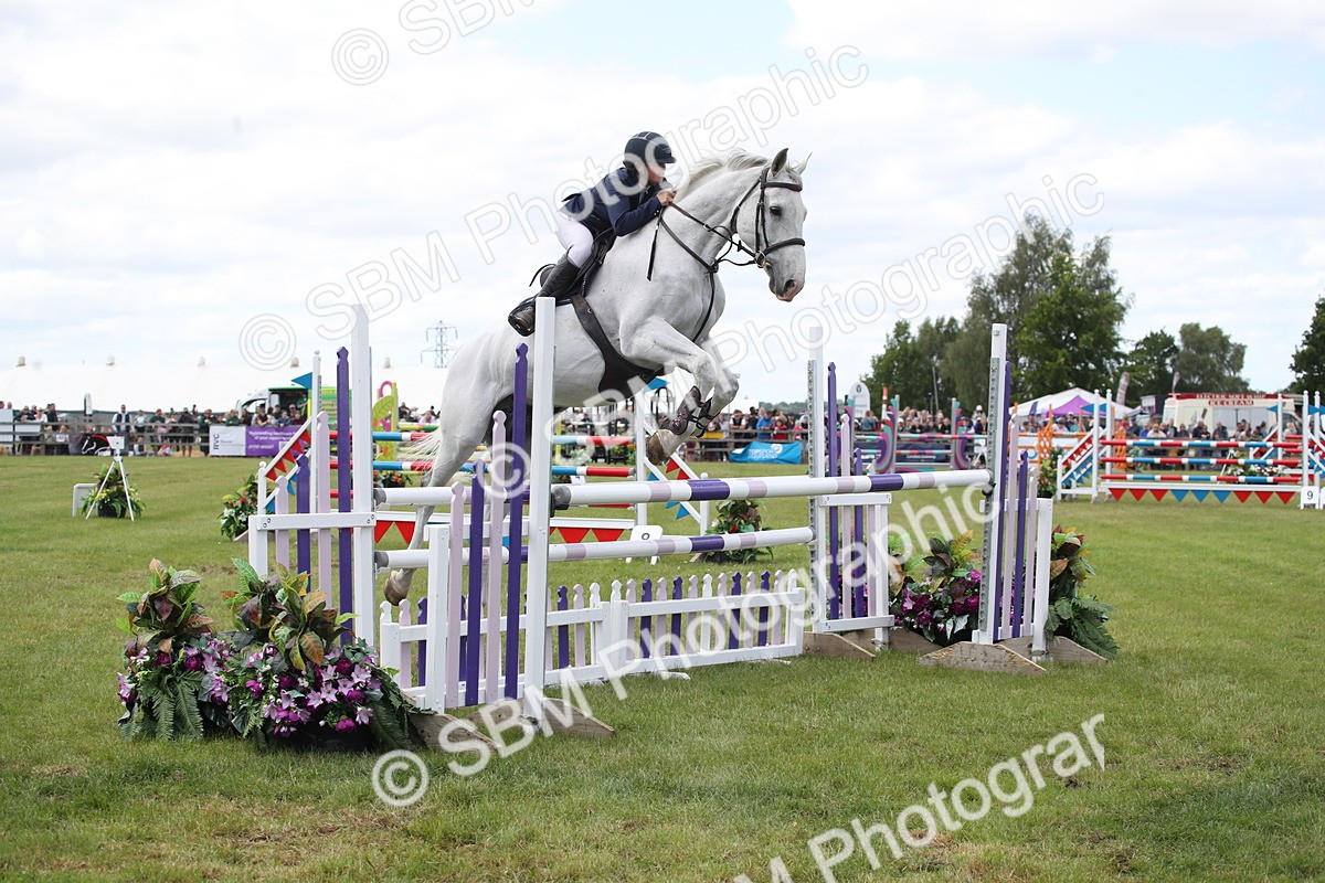 SBM_17435 - Class 208 - Senior Foxhunter 1.20m Open