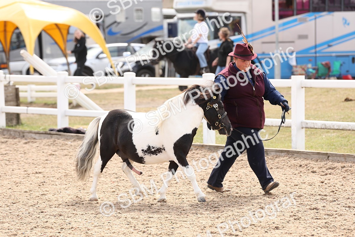 SBM_15097 - Class 209 - IH Veteran Pony