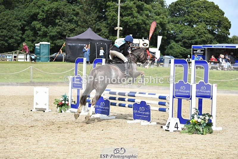 230827-115155-24230 - SJ 11.30 to End