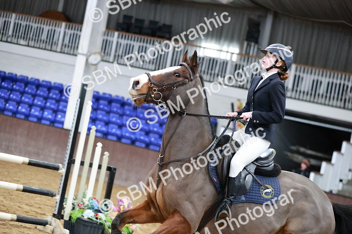 SBM_003493 - Class 15 - Senior British Novice - 90cm