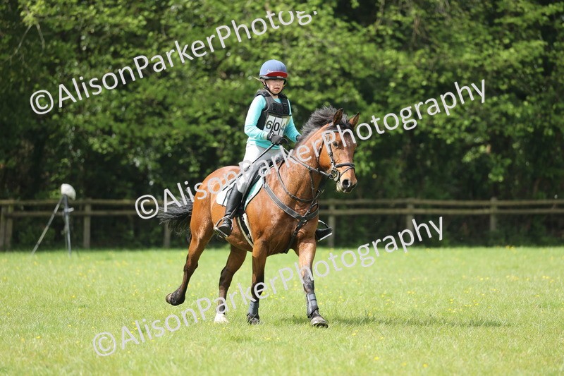 20260503-3584 - Camera 1
