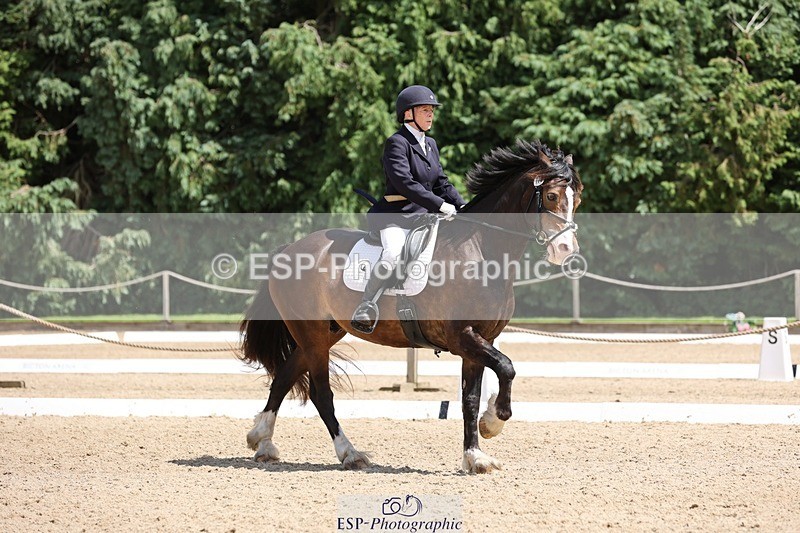 240721-133110-08827 - 176-Amanda_Williams-Llanarth_Westminster