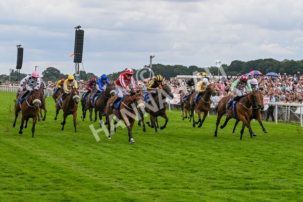 270724-Race 1-Night On Earth-6676 - Race 1 2.05pm Sky Bet 'Jump Jockeys' Nunthorpe' Handicap