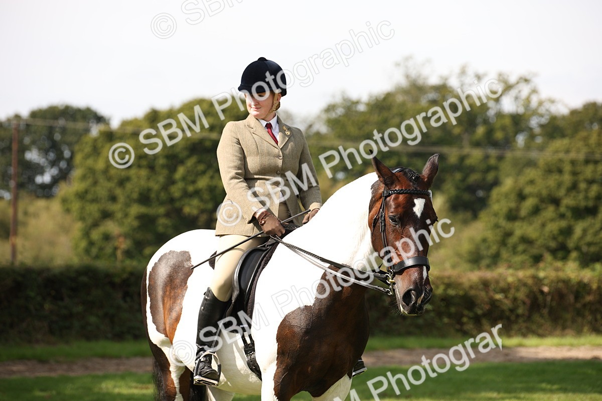 SBM_70108 - S65 - Piebald & Skewbald Horse Ridden