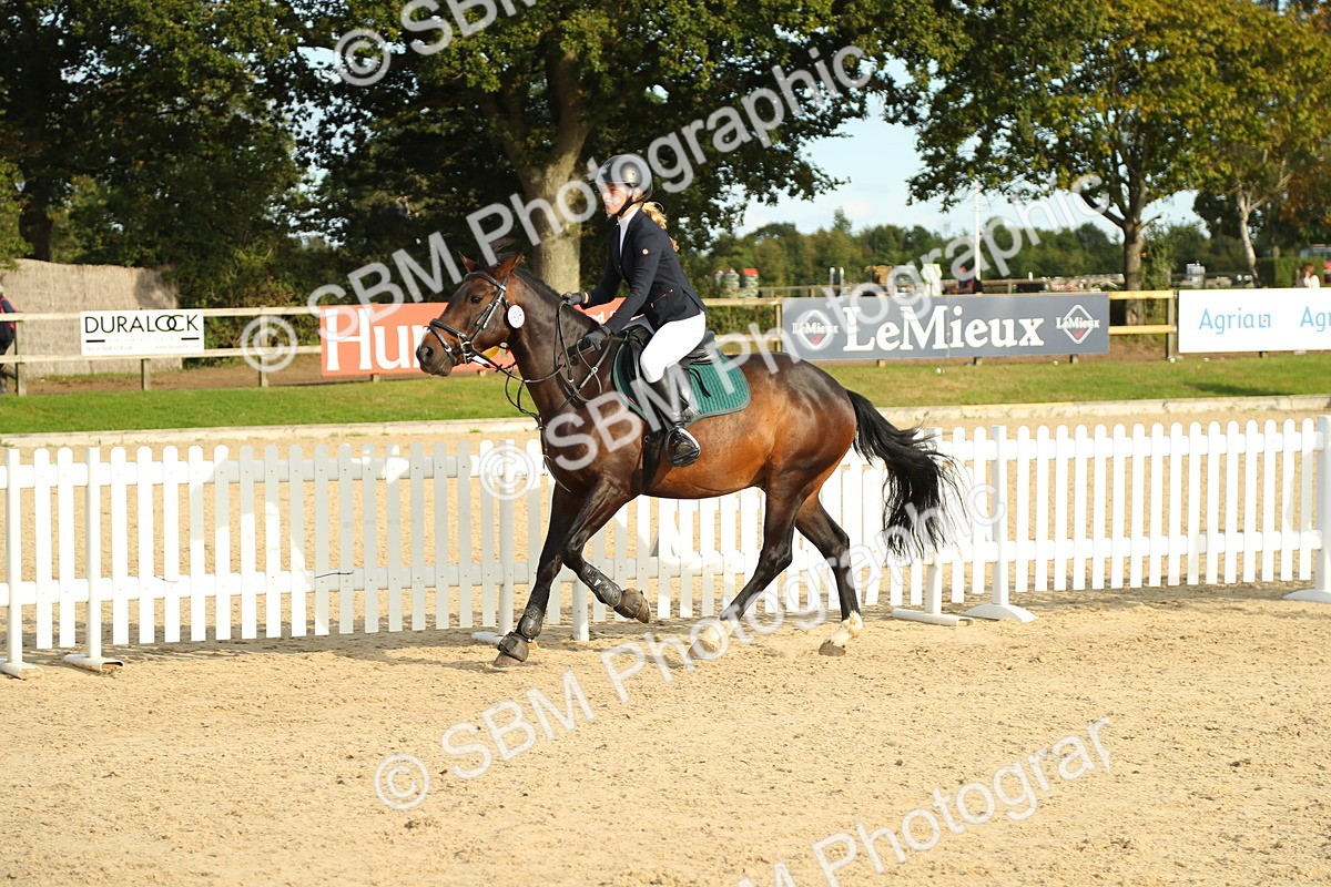SBM_51772 - J7 - Junior Pony 60cm Championship