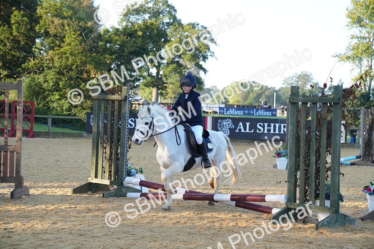 SBM_58877 - J63 - Minis Clear Round 30cm 40cm