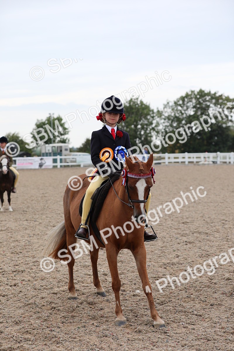 SBM_18231 - Class 316 Best Pony/Rider Combination