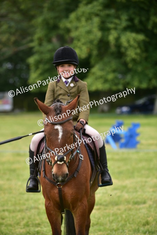 20260614-4205 - Class 17 - Best Mane and Tail