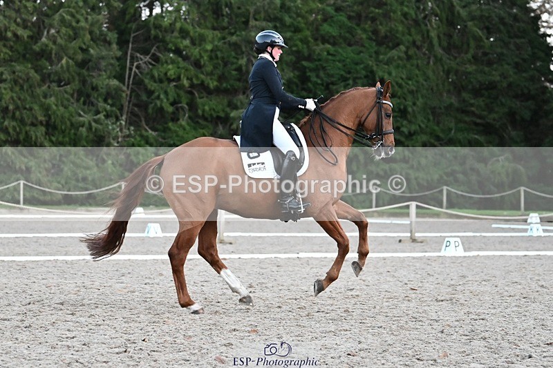 231110-164028-02724 - Cls 14 FEI Grand Prix