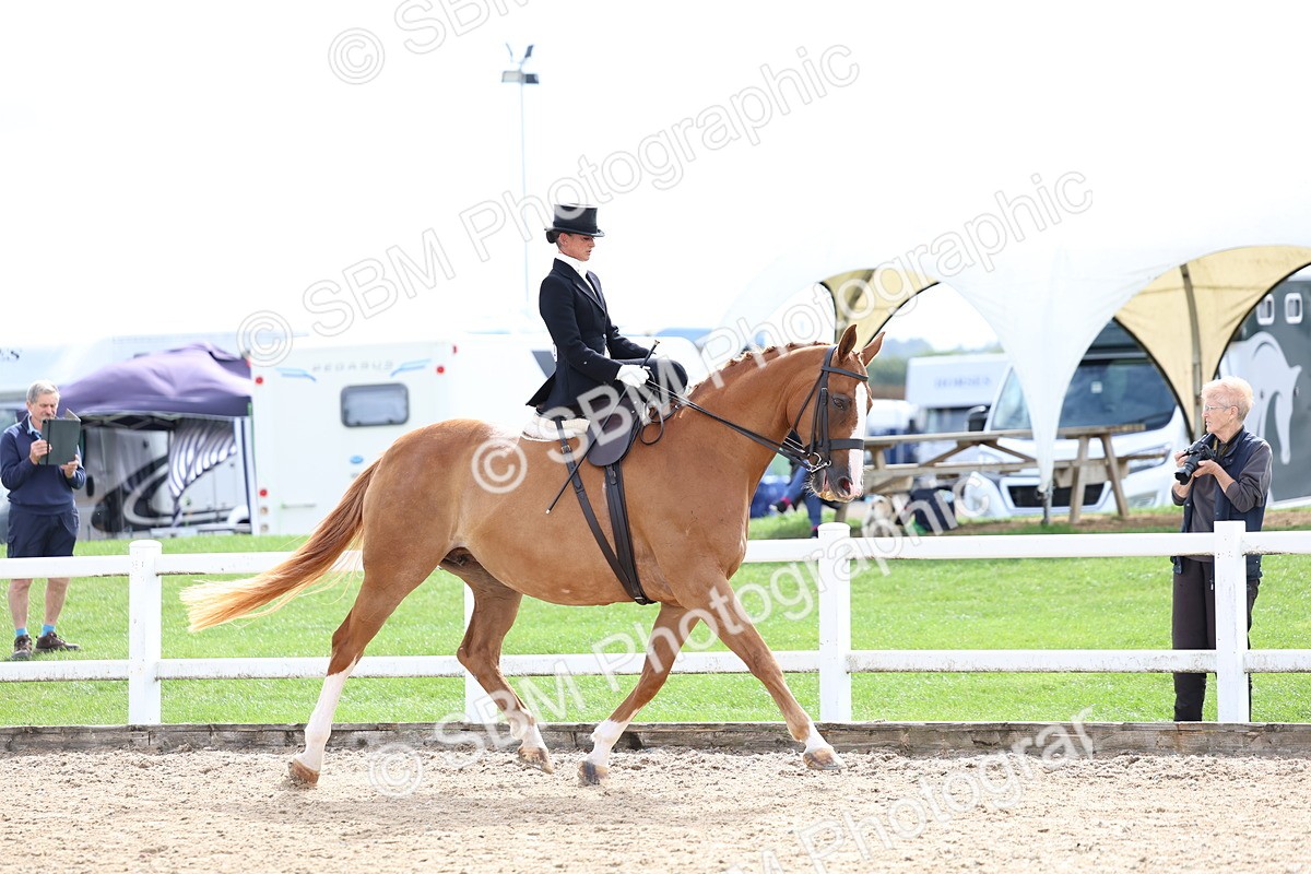 SBM_03299 - Class 23 - SSA Classical (any age)