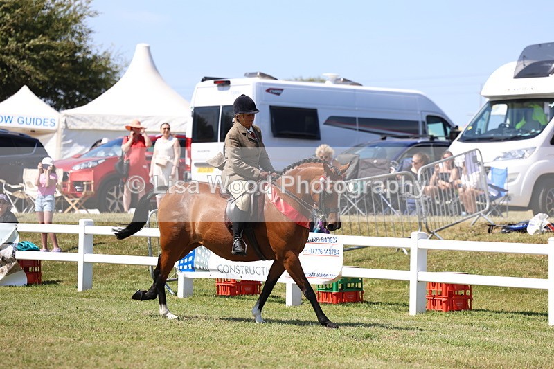 3E7A7635 - Rising Star Ridden Championship
