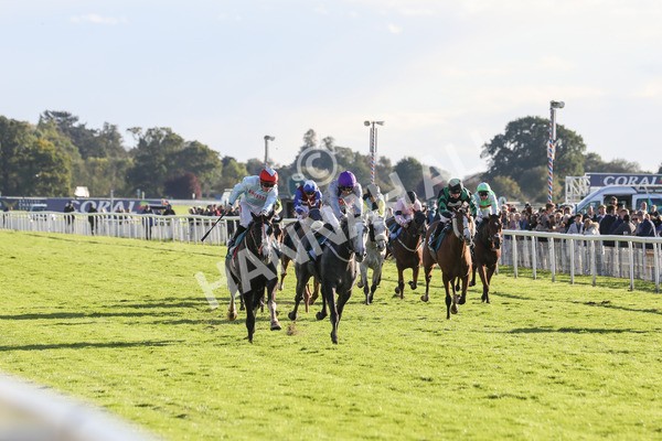 141023-Race 6-Punctuation-0640 - Race 6 4.10pm Coral Get Closer To The Action Handicap