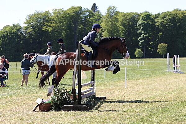 IMG_4051 - Working Hunter