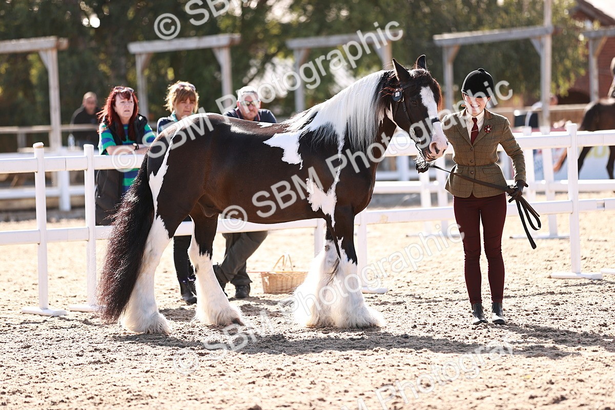 SBM_12581 - Class 404 - IH Traditional - Native Cob
