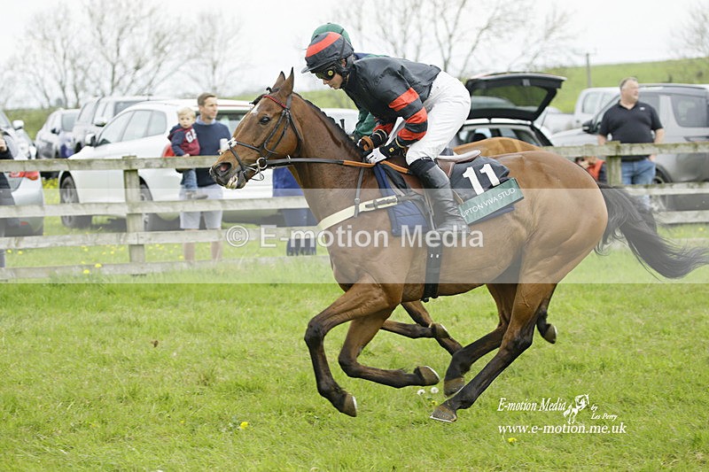 PtP 020522 115 - Mollington Races Point-to-Point 02/05/22