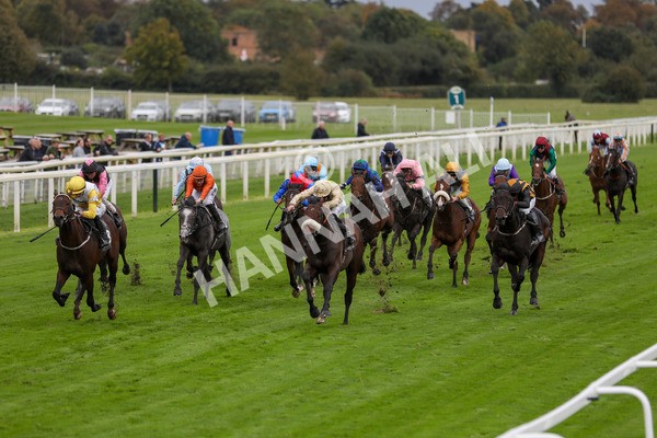 131023-Race 3-Apiarist-9770 - Race 3 3.15pm British EBF £100,000 Final