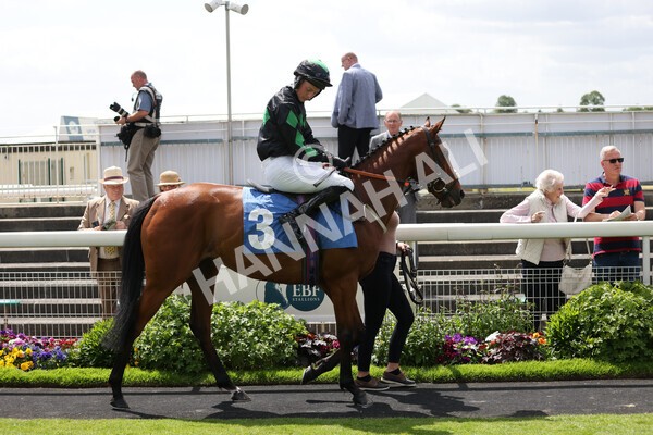 yr10062022r1-10 - Race 1 2.00pm Constant Security Gentlemen Amateur Riders Stakes