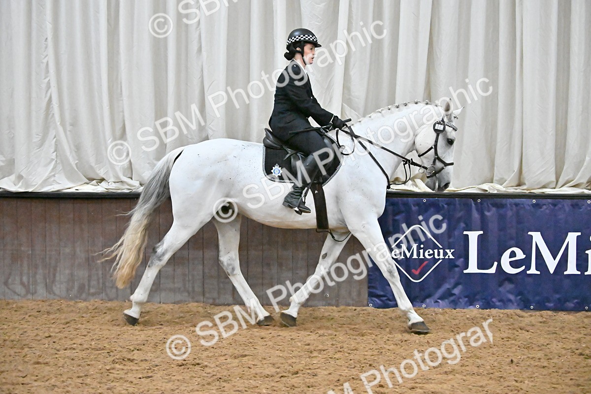 SBM_002984 - Class 37,38 - UKPSAF Performance Horse & Pony