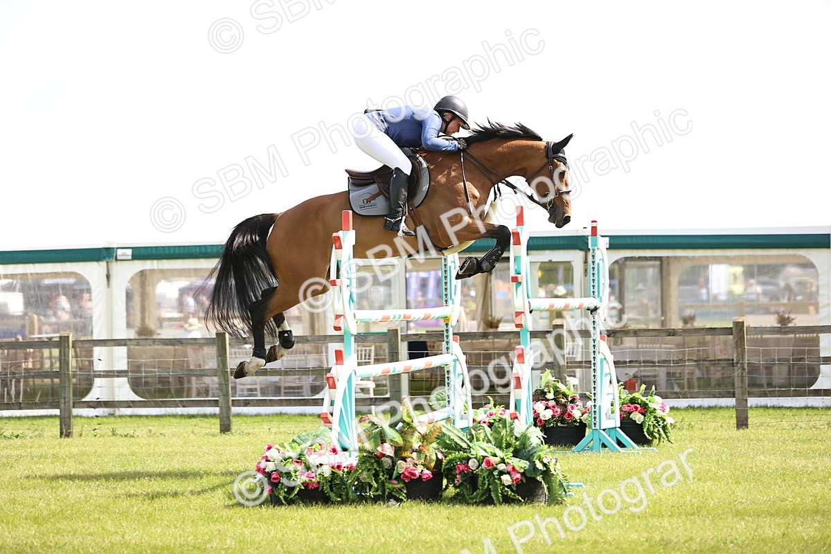 SBM_03049 - Class 201 - British Horse Feedds Speedi Beet HOYS Grade C