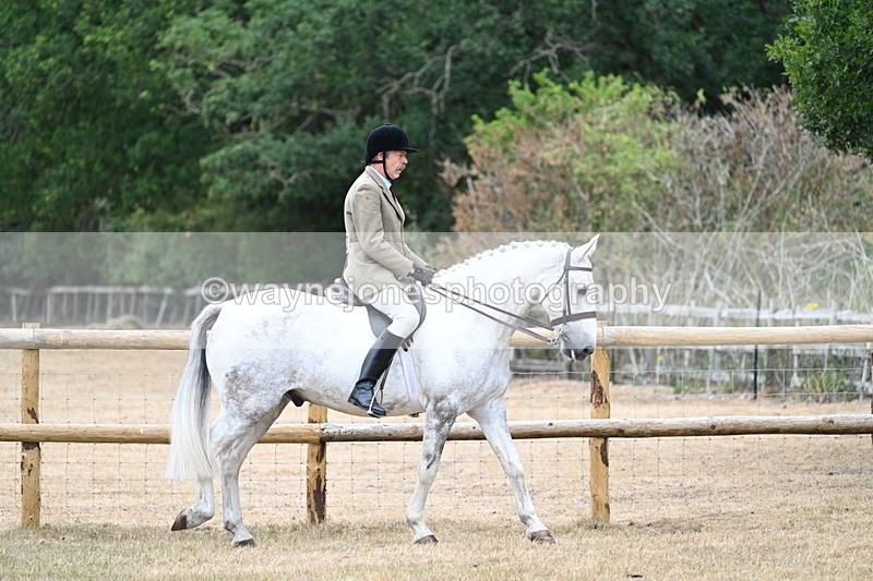 WJ7_0729 - Class 7 Riding Club Show Horse