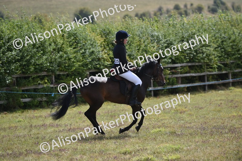 20250831-4031 - Class 12 - Working Hunter Pony 14.2hh and Under
