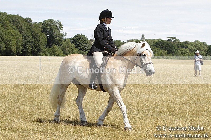 _BS_0815 - BVRC Show 2018 Ring 1