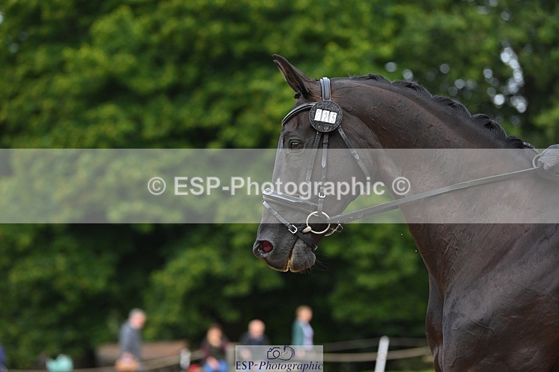 230813-094231-05940 - Cls 12 Elem Silver Start to 10.10 break