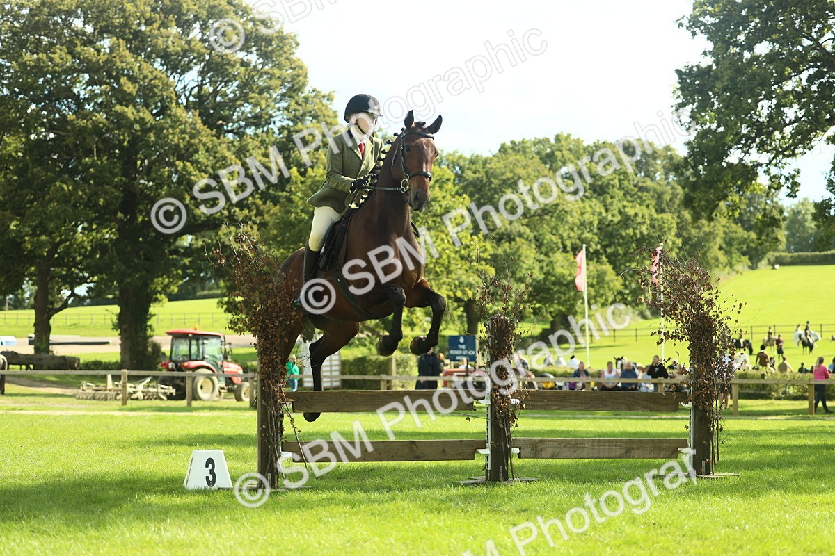 SBM_48087 - S32 - Novice & Newcomers Working Hunter