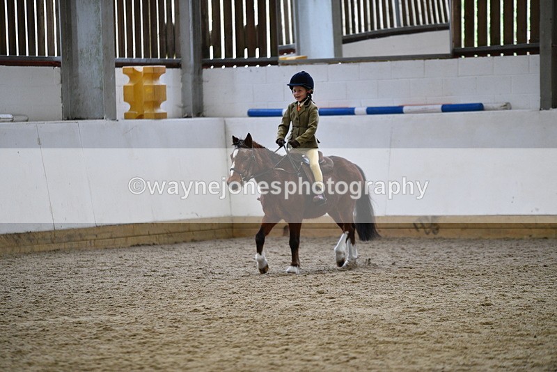 WJ5_6995 - Class 10 Childs Pony