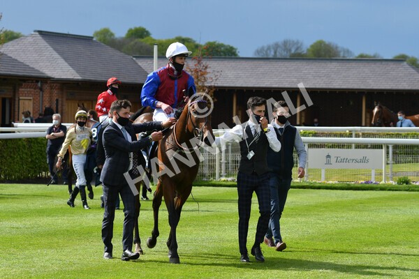 yr12052021r6-26 - Race 6 4.15pm British Stallion Studs EBF Novice Stakes