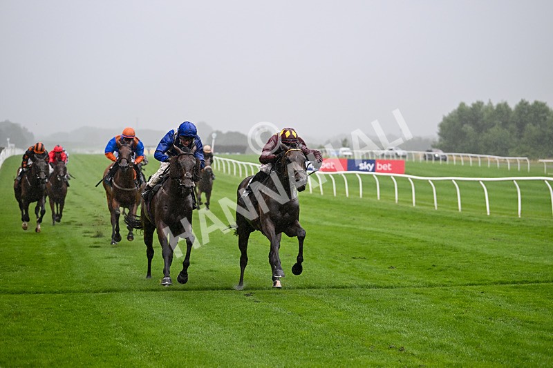 230725-Race 3-Emerald Army-0055 - Race 3