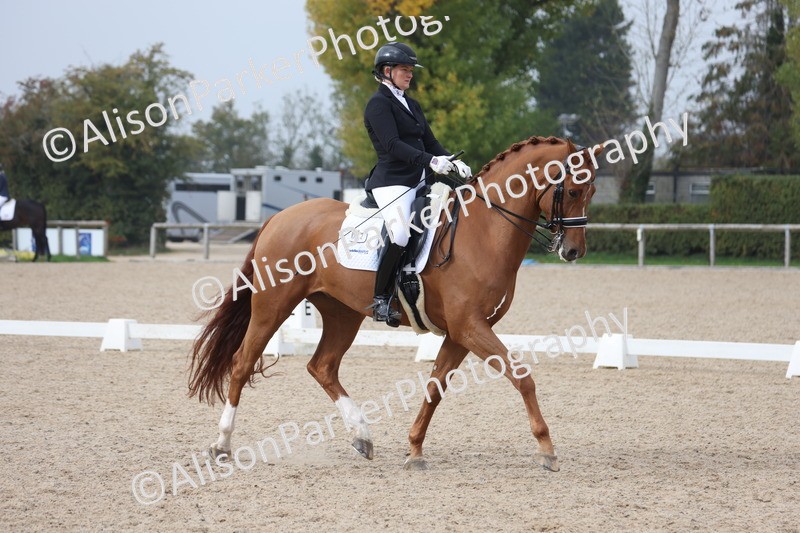 20251012-0784 - Class 9 - Advanced Medium 3