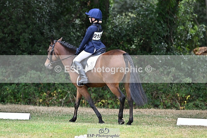 250820A-100002-02430 - Start to 11am