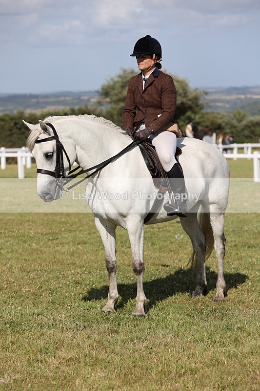 JPP_2961 - Class 20: Working Hunter 70cm